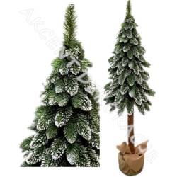 CHOINKA JODŁA DIAMENTOWA NA NATURALNYM PNIU 180 cm